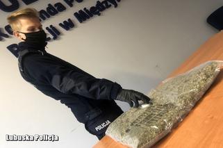 Międzyrzecz: Marihuana, kilkadziesiąt tysięcy złotych, kilka tysięcy euro i pięciu zatrzymanych mężczyzn