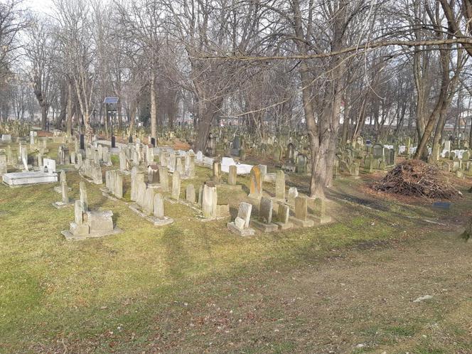 "To wzór dla całej Europy". Naczelny rabin Polski chwali Tarnów
