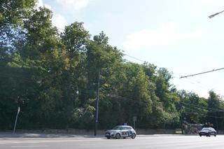 Czas na zmiany w Parku Bronowickim. Tak się prezentuje przed planowaną „metamorfozą”. ZDJĘCIA