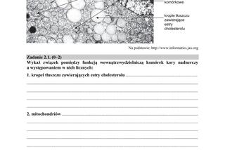 Matura 2018 z biologii [ARKUSZE CKE, ODPOWIEDZI]