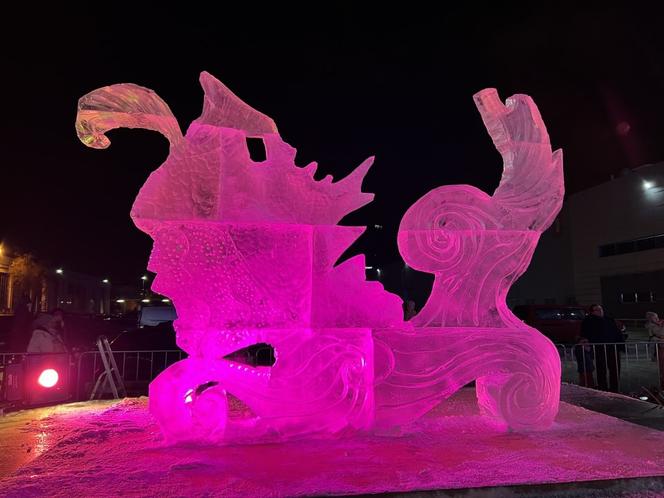Trzeci dzień Poznań Ice Festival 2022