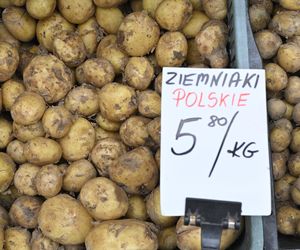  Ceny nowalijek na warszawskich bazarach szokują. Byliśmy i sprawdziliśmy ile trzeba zapłacić