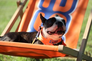 Eska Summer City 2025 odwiedziła Opole Lubelskie!