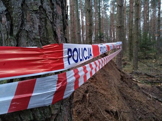 Wrak samolotu z czasów wojny znaleziony w lesie. W środku było ciało radzieckiego żołnierza