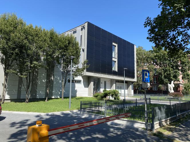 METAMORFOZA SZKÓŁ ARTYSTYCZNYCH