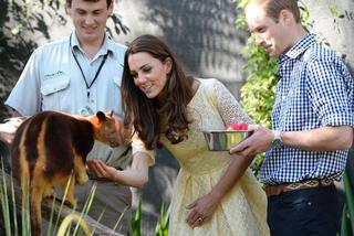 Księżna Kate w ZOO