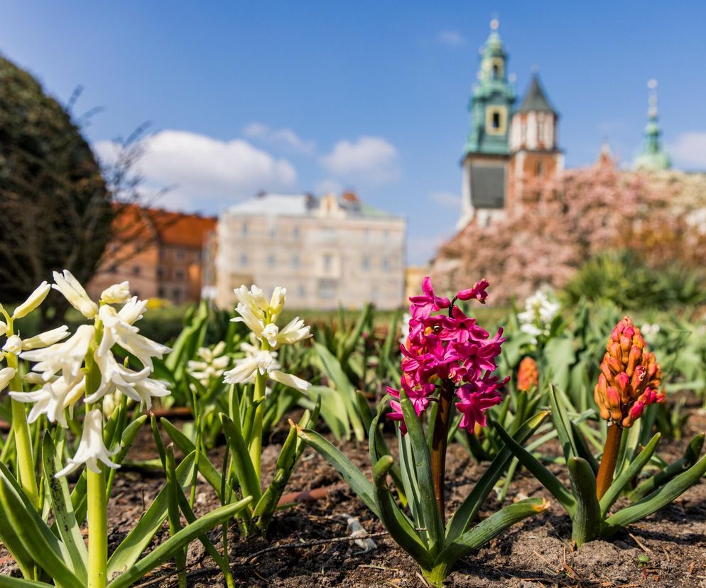 To najdroższe muzeum w Polsce. Za rodzinne zwiedzanie musimy zapłacić ponad 300 zł