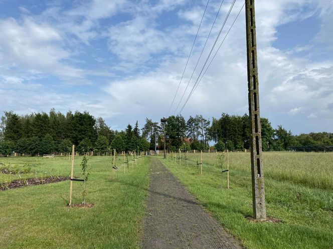 Wyjątkowe miejsce w Wólce Konopnej. Farma toMy dla osób z niepełnosprawnością