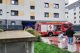 Pożar w bloku przy ul. Zakładowej we Wrocławiu. Na miejscu 6 wozów strażackich 