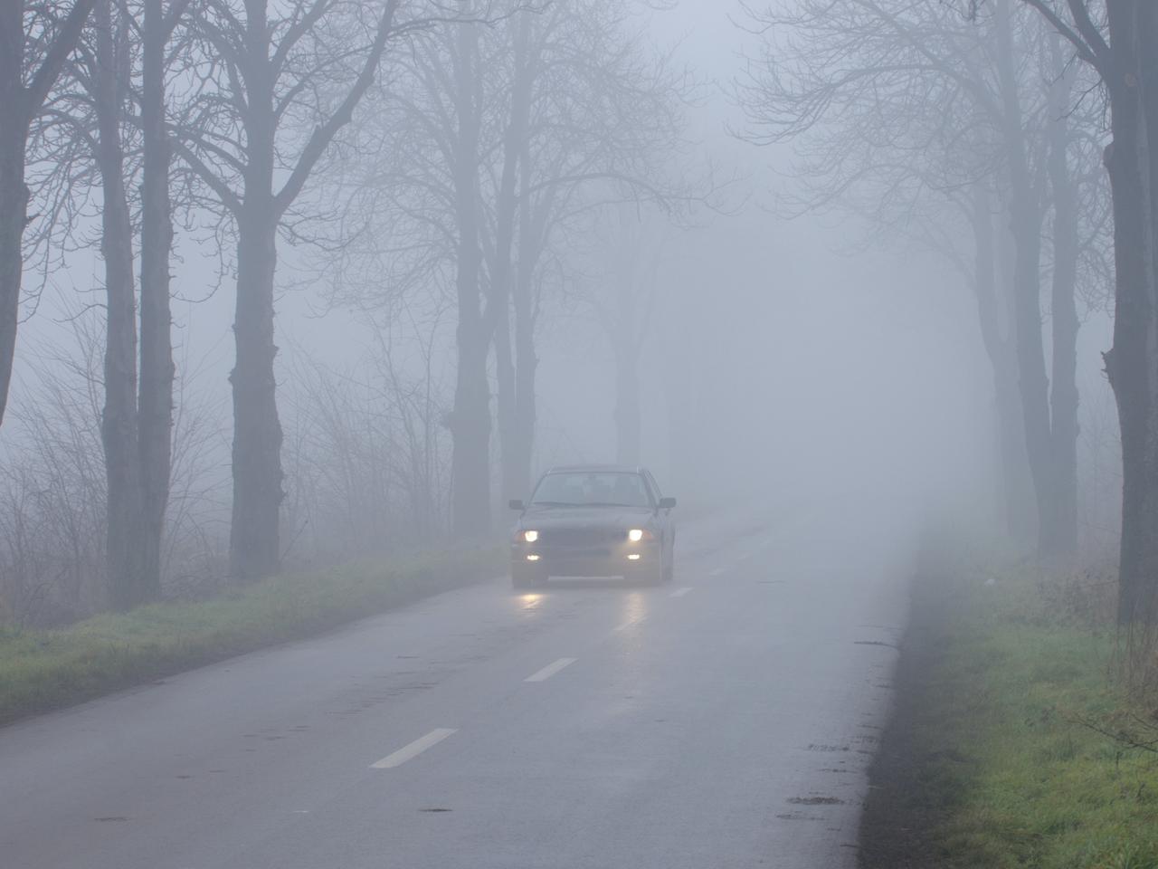 Jak jeździć WE MGLE, kiedy można używać świateł przeciwmgłowych