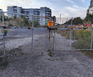 Michał S. Zatrzymany i aresztowany tymczasowo