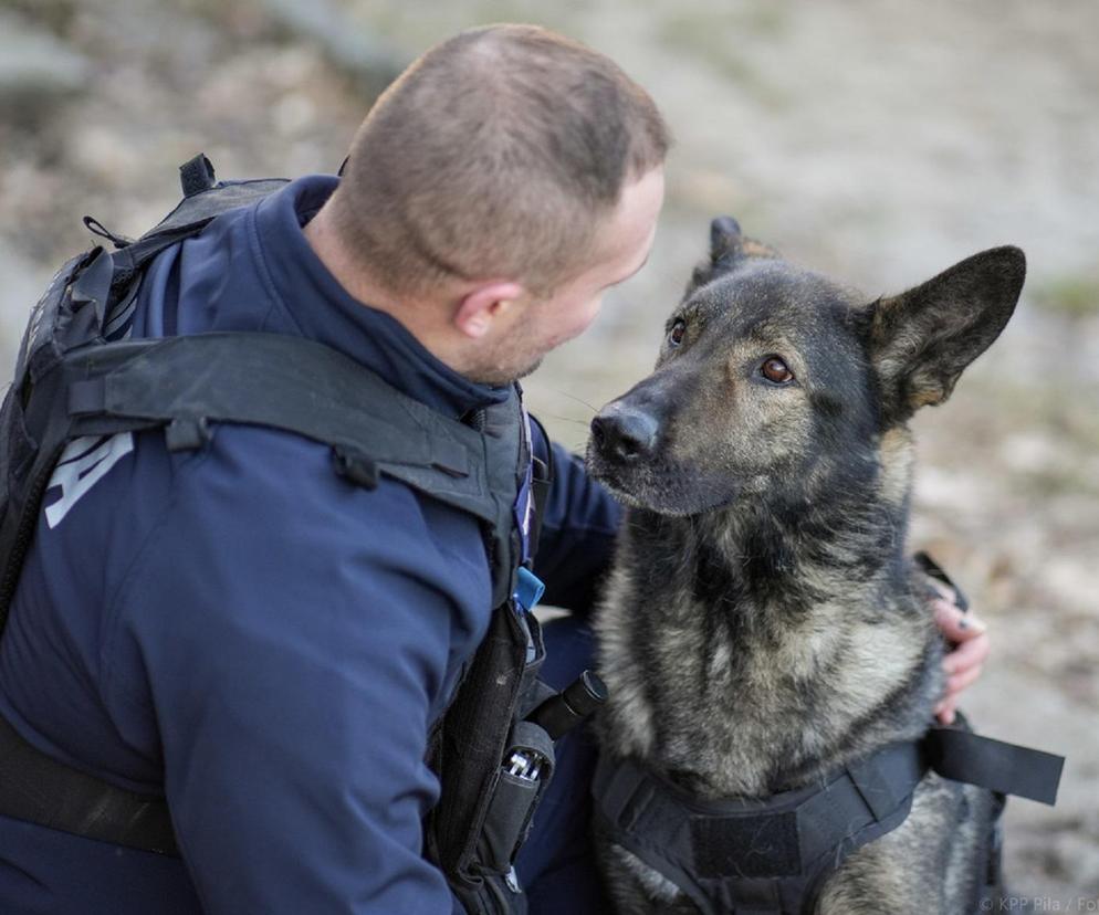 Hugo doprowadził policjantów do zaginionego mężczyzny