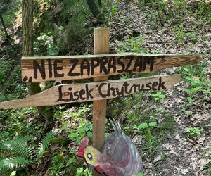 To najbardziej bajkowa wieś w Polsce. Zobacz, co kryje Majdan Ostrowski