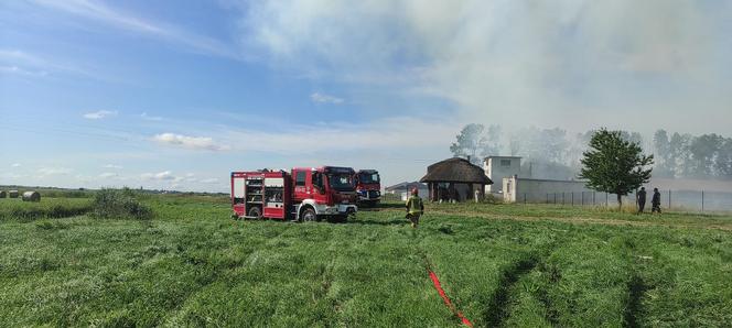 Ogromny pożar pod Braniewem. 1000 balotów słomy w ogniu [ZDJĘCIA]