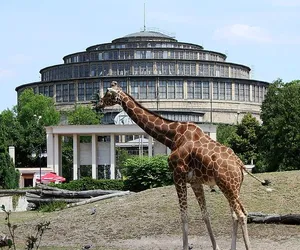 ZOO Wrocław zachwyca! Wszystko, co musicie wiedzieć przed wizytą