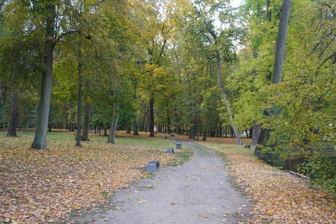 Park Lubomirskich w Białymstoku jesienią 