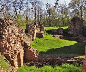 Ruiny zamku w Raciążku