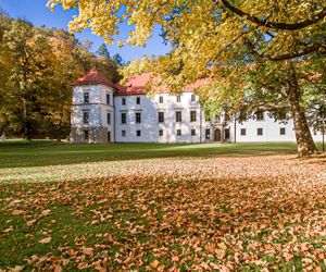 To małopolskie miasto gwiazd. Wychowało wiele wybitnych postaci 