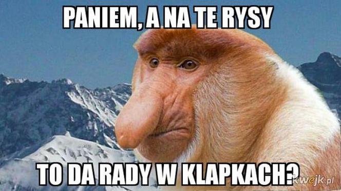 Ferie w Zakopanem? Najlepsze memy o wyjazdach w góry! 