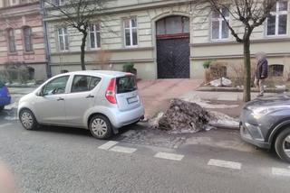 Tak się parkuje w Gliwicach. Straż Miejska opublikowała zdjęcia Miszczów z lutego [GALERIA]