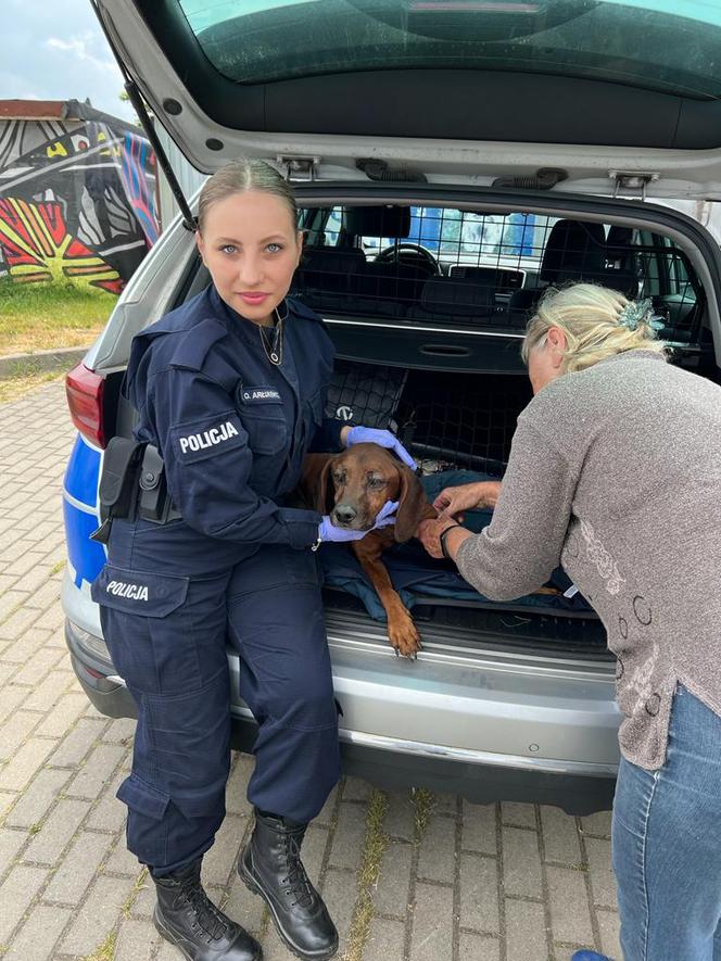 Policjanci z Goleniowa uratowali porzuconego psa