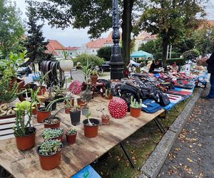 Jarmark Staroci w Wodzisławiu Śląskim