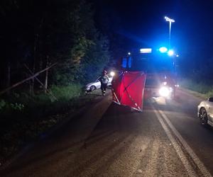 Nie żyje 17-latek, nocny wypadek pod Bodzentynem