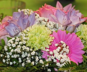 Dzień Teściowej 2025. Wyjątkowe życzenia i śmieszne wierszyki dla teściowej [5.03.2025]