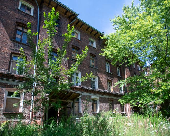 Famuły Poznańskiego ul. Ogrodowa Łódź