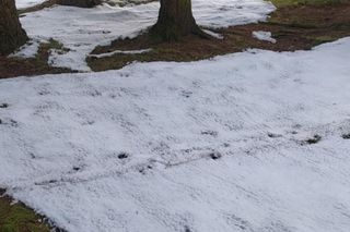 Środek lata, a tam… zima. Co się dzieje w Świeradowie-Zdroju? 