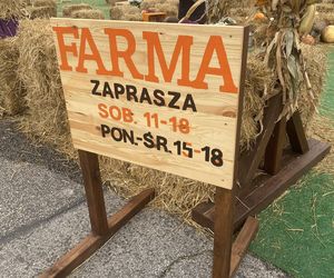 Farma Dyniowa