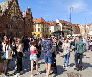 Gitarowy Rekord Świata 2024 we Wrocławiu