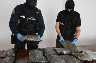 Przemyscy policjanci i funkcjonariusze podkarpackich KAS  przechwycili ponad 11 kg suszu marihuany