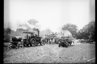 Złote pola czas skosić! Tak wyglądało żniwowanie w XX wieku. ZDJĘCIA