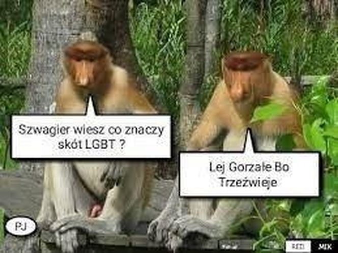 Memy na Dzień Szwagra 