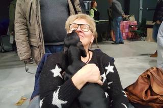 Międzynarodowa Wystawa Psów Rasowych w Bydgoszczy