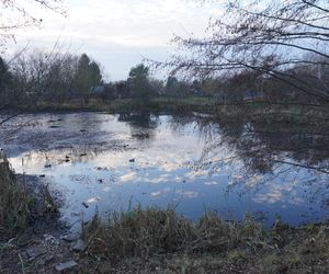 Tu powstanie kolejne miejske do rekreacji w Białymstoku. Tak obecnie wygląda staw przy Bema