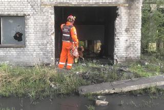 Przy kopalni Mysłowice ZAWALIŁ SIĘ budynek! Rannych szukali Robroy i Piorun