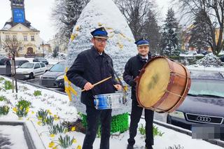 Wielkanocne bębnienie w Przeworsku 