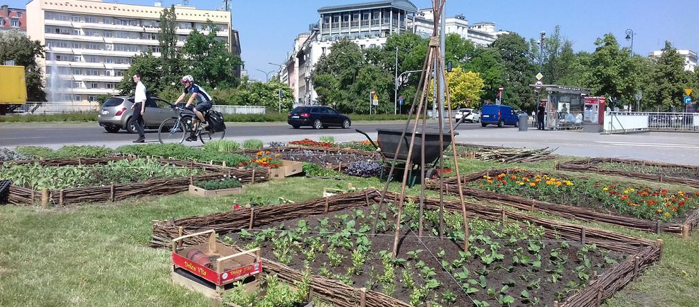 Warzywniak na Rozdrożu