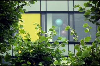 Kolorowe okna i kolorowe baloniki [ZDJĘCIE DNIA]