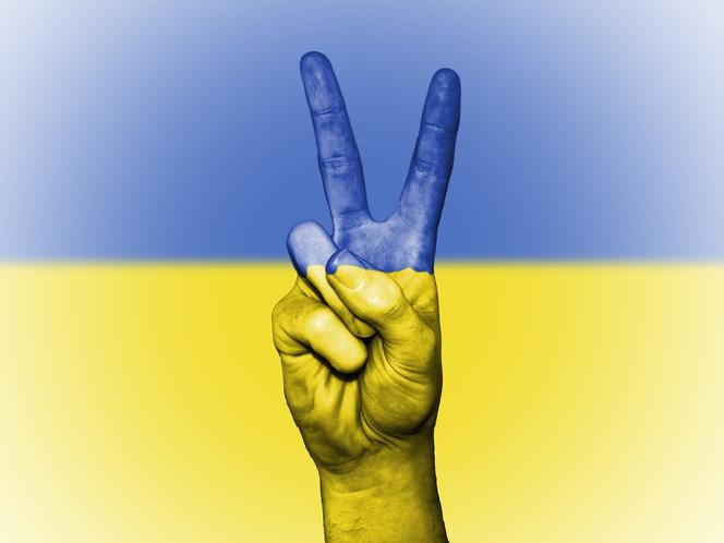 Marsz wsparcia dla Ukrainy przejdzie przez Rzeszów: Uznajmy Rosję za państwo terrorystyczne 