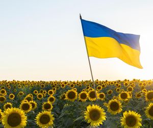 Na te studia prawie nikt nie chce iść. Kilka lat temu kandydaci walczyli o wolne miejsca