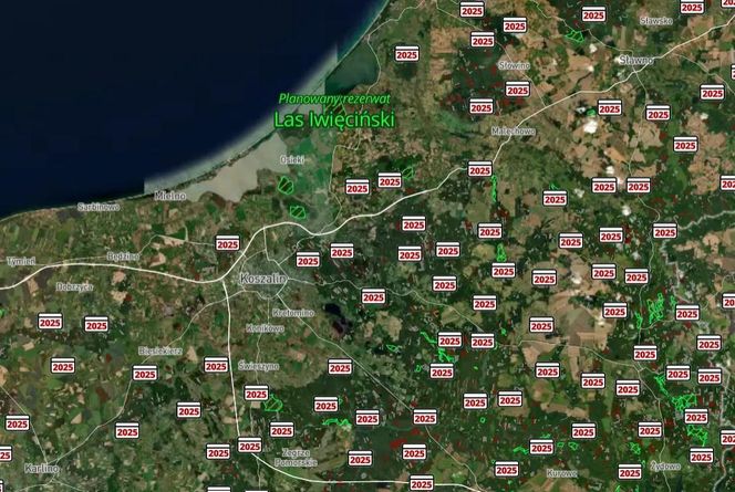 Mapa wycinki lasów 2025 - woj. zachodniopomorskie