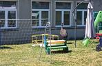 Prawdziwy emu na terenie szkoły pod Sulęcinem. Dzieci bały się wyjść na dwór [ZDJĘCIA].