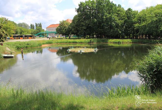 Wyspa dla chronionych gatunków na Kanale Piaseczyńskim