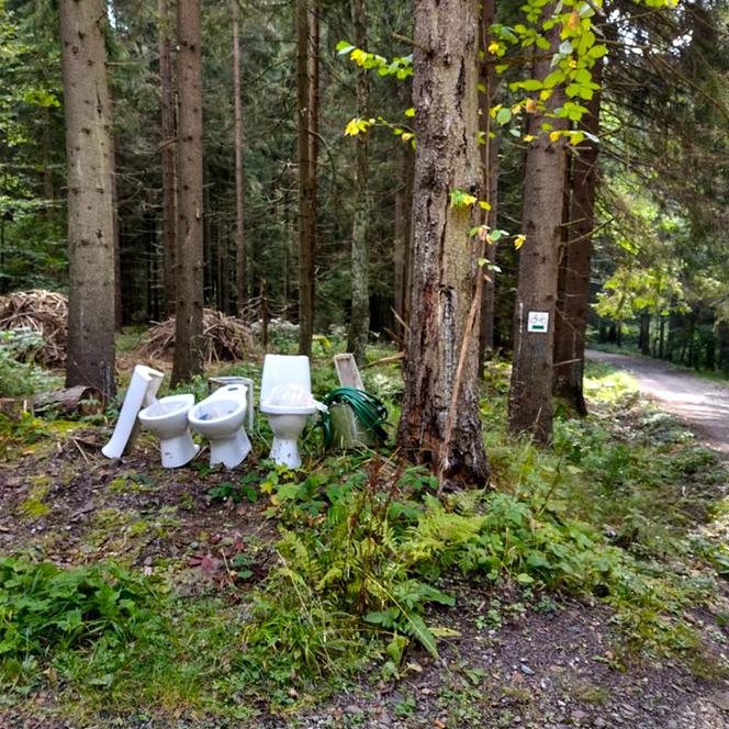 Góry Stołowe. Ktoś wyrzucił muszle klozetowe w parku. Poszukiwani świadkowie zdarzenia