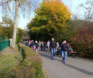 Gdański Ogród Zoologiczny jesienią