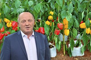 Dramat polskich rolników. To wina PiS 