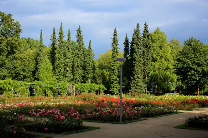 Ogród Różany w Szczecinie